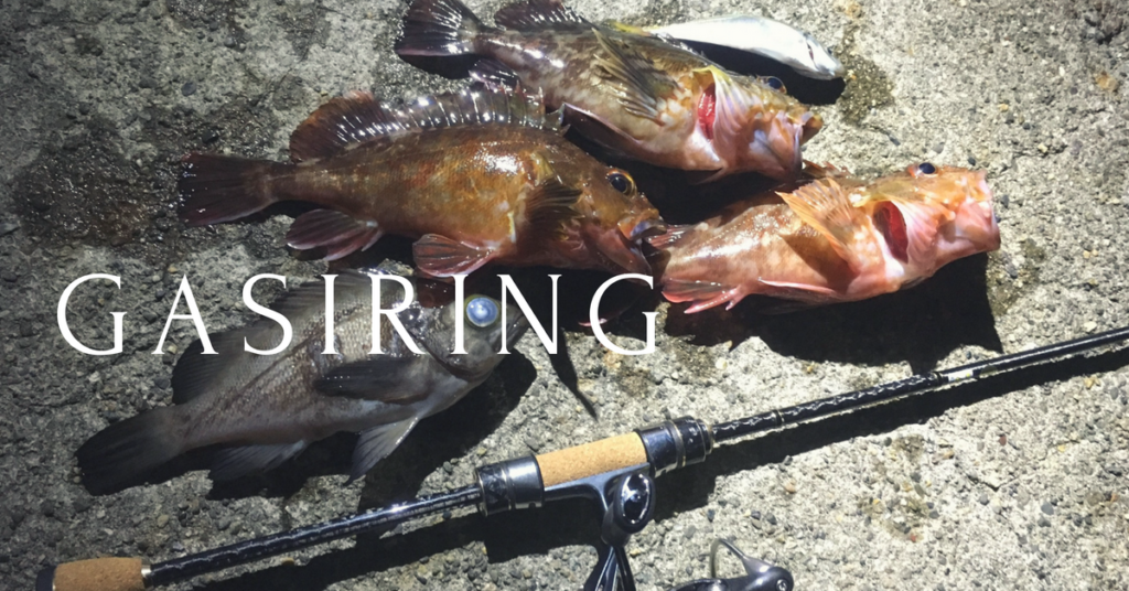 ガシラをルアーで釣る ライト ガシリングを楽しむための仕掛けと釣り方を徹底解説 ツリマガ