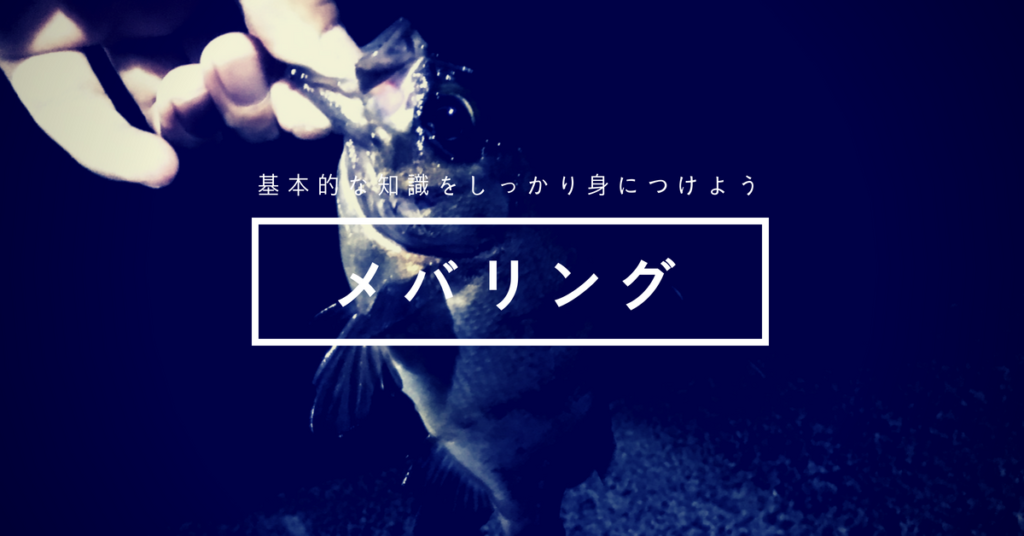 メバリング徹底解説 初心者でも 嘘だろ こんなに釣れるのかよ と驚くほどの釣り方と 必ず知っておきたい仕掛けと基礎知識まとめ ツリマガ
